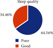 Sleep Quality and Associated Factors among Peoples with Epilepsy Who Have a Follow-Up at Amanuel Mental Specialized Hospital, Addis Ababa, Ethiopia, 2019: An Institutional Based Cross-Sectional Study.