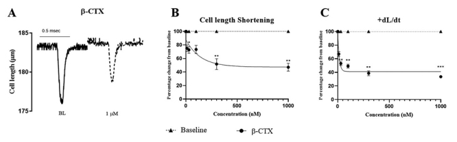 Suppression of cardiomyocyte functions by β-CTX isolated from the Thai king cobra (<i>Ophiophagus hannah</i>) venom via an alternative method.