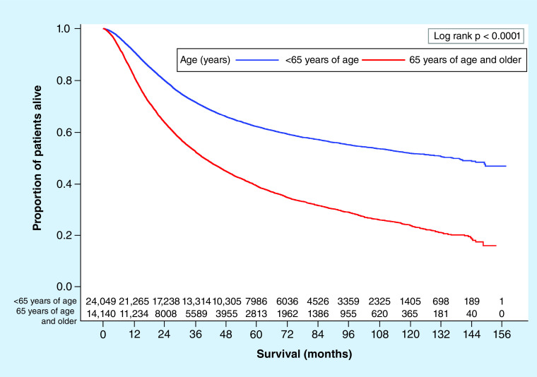 Disparity in outcomes of melanoma adjuvant immunotherapy by demographic profile.