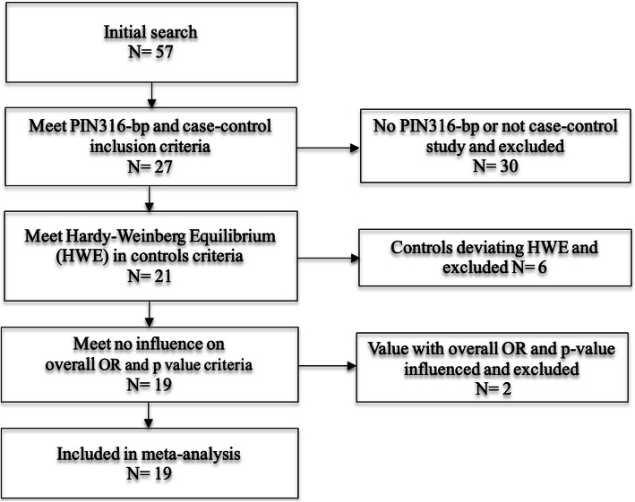 Association of PIN3 16-bp duplication polymorphism of TP53 with breast cancer risk in Mali and a meta-analysis.