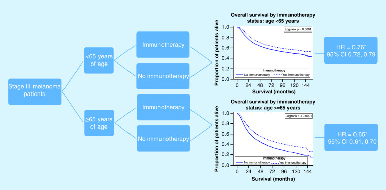 Disparity in outcomes of melanoma adjuvant immunotherapy by demographic profile.