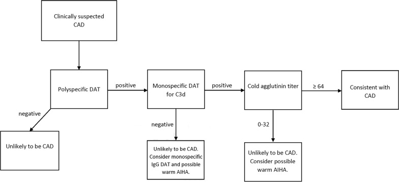 Cold Agglutinin Disease.