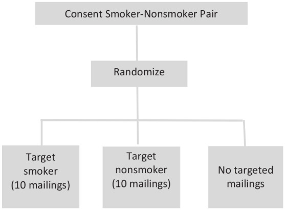 Targeting Nonsmokers to Help Smokers Quit: Features of a Large-scale Intervention.