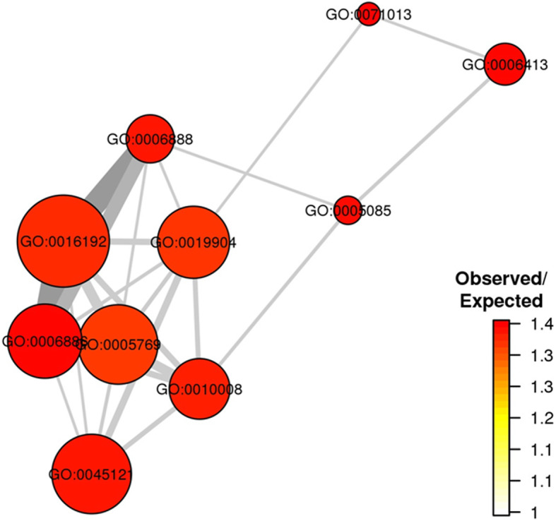 Expansion of Single Cell Transcriptomics Data of SARS-CoV Infection in Human Bronchial Epithelial Cells to COVID-19.