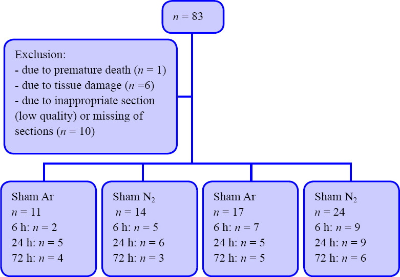 Argon treatment after experimental subarachnoid hemorrhage: evaluation of microglial activation and neuronal survival as a subanalysis of a randomized controlled animal trial.