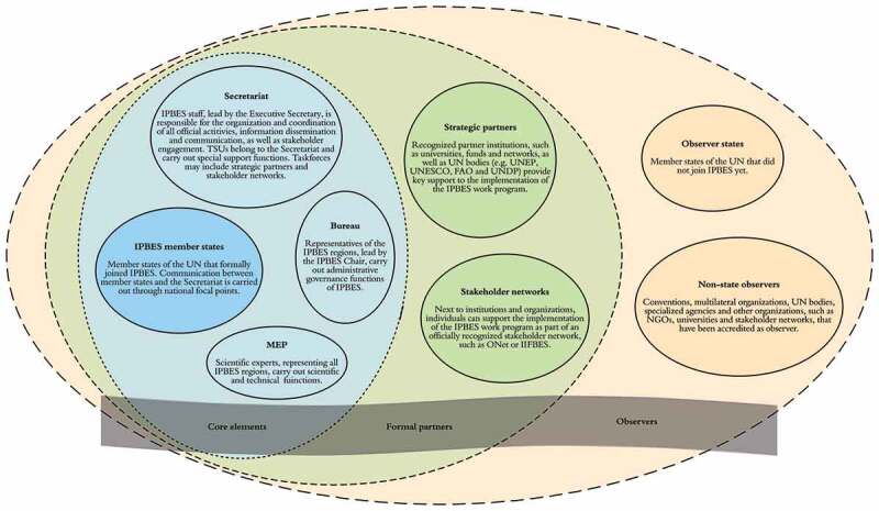 Stakeholder participation in IPBES: connecting local environmental work with global decision making.