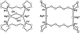 Silver(I) Complexes of Two Flexible Bis-phospholane Ligands: Metallamacrocycles, Polymeric Chains, and Metallacryptands.