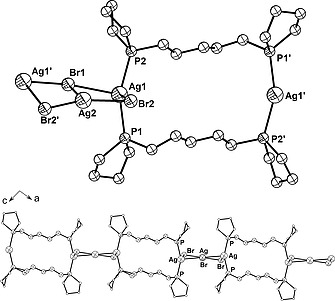 Silver(I) Complexes of Two Flexible Bis-phospholane Ligands: Metallamacrocycles, Polymeric Chains, and Metallacryptands.