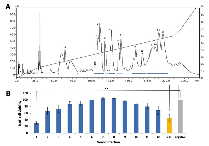 Cytotoxic and anticancer properties of the Malaysian mangrove pit viper (<i>Trimeresurus purpureomaculatus</i>) venom and its disintegrin (purpureomaculin).