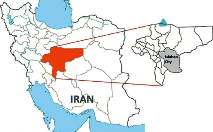 Study on <i>Periplaneta americana</i> (Blattodea: Blattidae) Fungal Infections in Hospital Sewer System, Esfahan City, Iran, 2017.