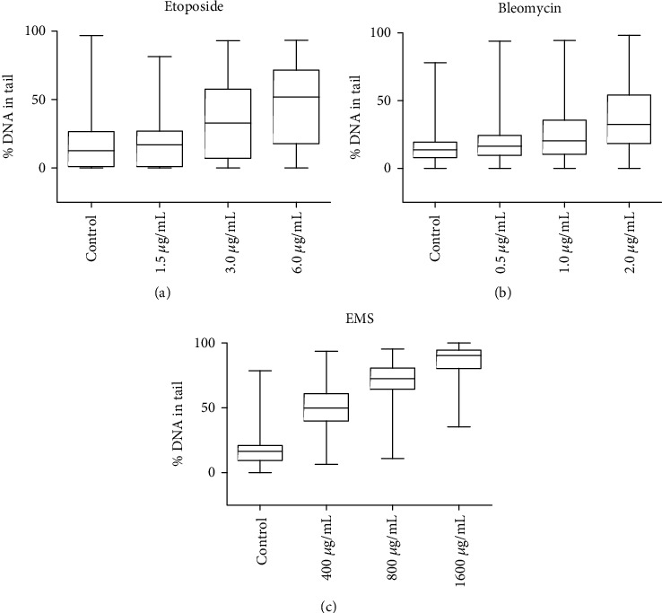 Genotoxic Effects of Etoposide, Bleomycin, and Ethyl Methanesulfonate on Cultured CHO Cells: Analysis by GC-MS/MS and Comet Assay.