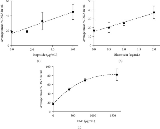 Genotoxic Effects of Etoposide, Bleomycin, and Ethyl Methanesulfonate on Cultured CHO Cells: Analysis by GC-MS/MS and Comet Assay.