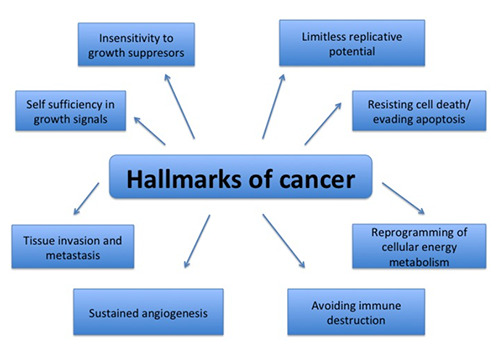 Apoptosis and genes involved in oral cancer - a comprehensive review.