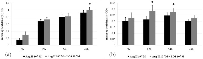 Influence of Angiotensin II on cell viability and apoptosis in rat renal proximal tubular epithelial cells in in vitro studies.