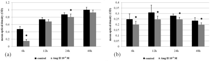 Influence of Angiotensin II on cell viability and apoptosis in rat renal proximal tubular epithelial cells in in vitro studies.