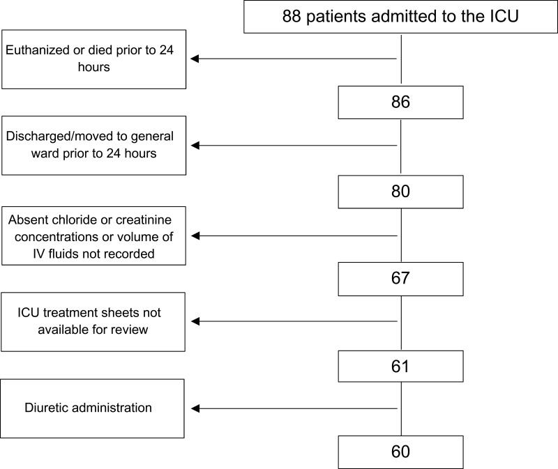 A Preliminary Investigation into the Association of Chloride Concentration on Morbidity and Mortality in Hospitalized Canine Patients.