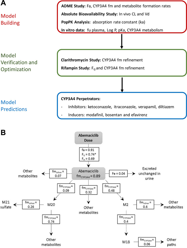 Predicting Clinical Effects of CYP3A4 Modulators on Abemaciclib and Active Metabolites Exposure Using Physiologically Based Pharmacokinetic Modeling.