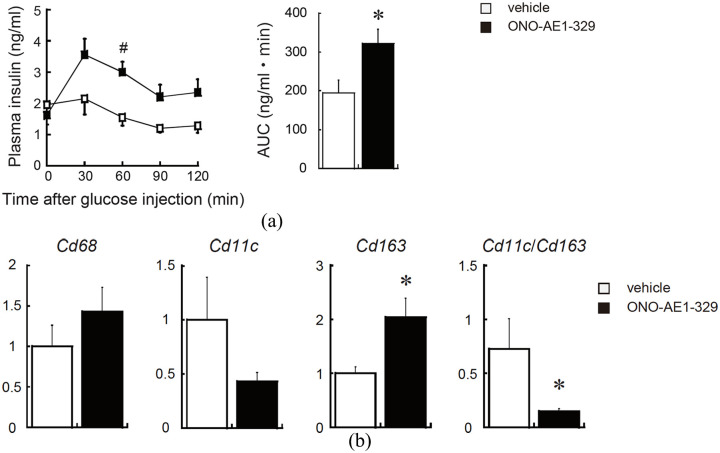 EP4 signalling is essential for controlling islet inflammation by causing a shift in macrophage polarization in obesity/type 2 diabetes.