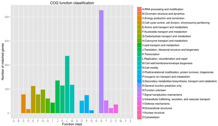 Complete Genome and Comparative Genome Analysis of <i>Lactobacillus reuteri</i> YSJL-12, a Potential Probiotics Strain Isolated From Healthy Sow Fresh Feces.