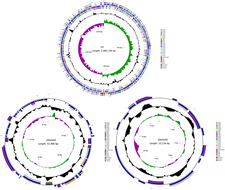 Complete Genome and Comparative Genome Analysis of <i>Lactobacillus reuteri</i> YSJL-12, a Potential Probiotics Strain Isolated From Healthy Sow Fresh Feces.