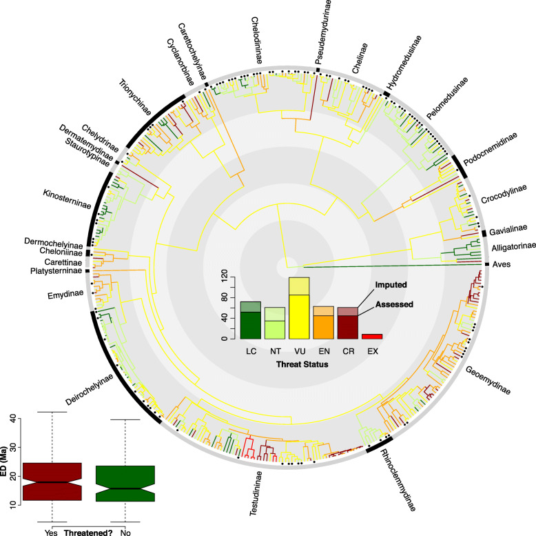 Phylogenetic and spatial distribution of evolutionary diversification, isolation, and threat in turtles and crocodilians (non-avian archosauromorphs).