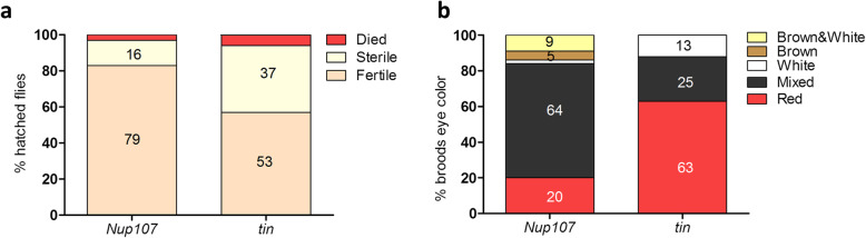 Efficient In Vivo Introduction of Point Mutations Using ssODN and a Co-CRISPR Approach.