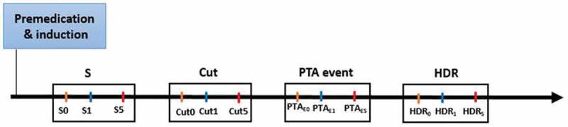 Performance of the Parasympathetic Tone Activity (PTA) index to assess the intraoperative nociception using different premedication drugs in anaesthetised dogs.