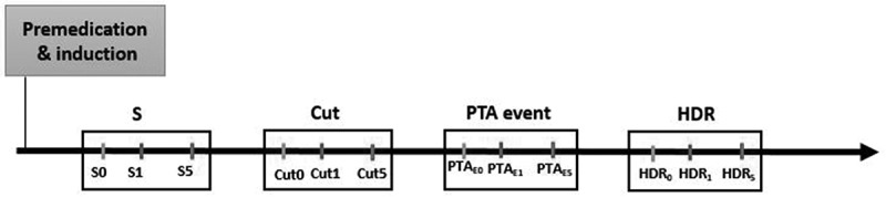 Performance of the Parasympathetic Tone Activity (PTA) index to assess the intraoperative nociception using different premedication drugs in anaesthetised dogs.