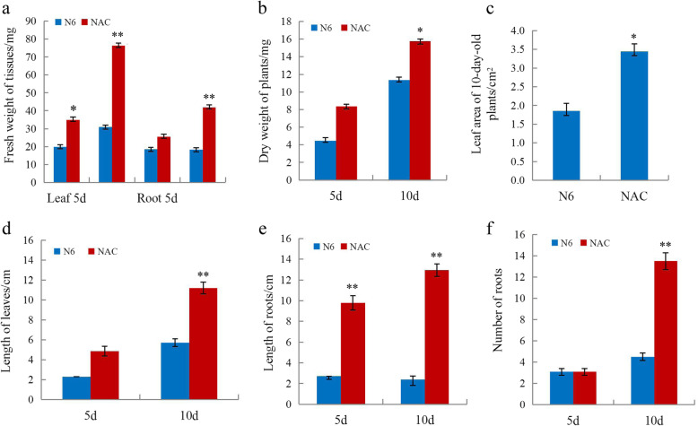 Transcriptome analysis of activated charcoal-induced growth promotion of wheat seedlings in tissue culture.