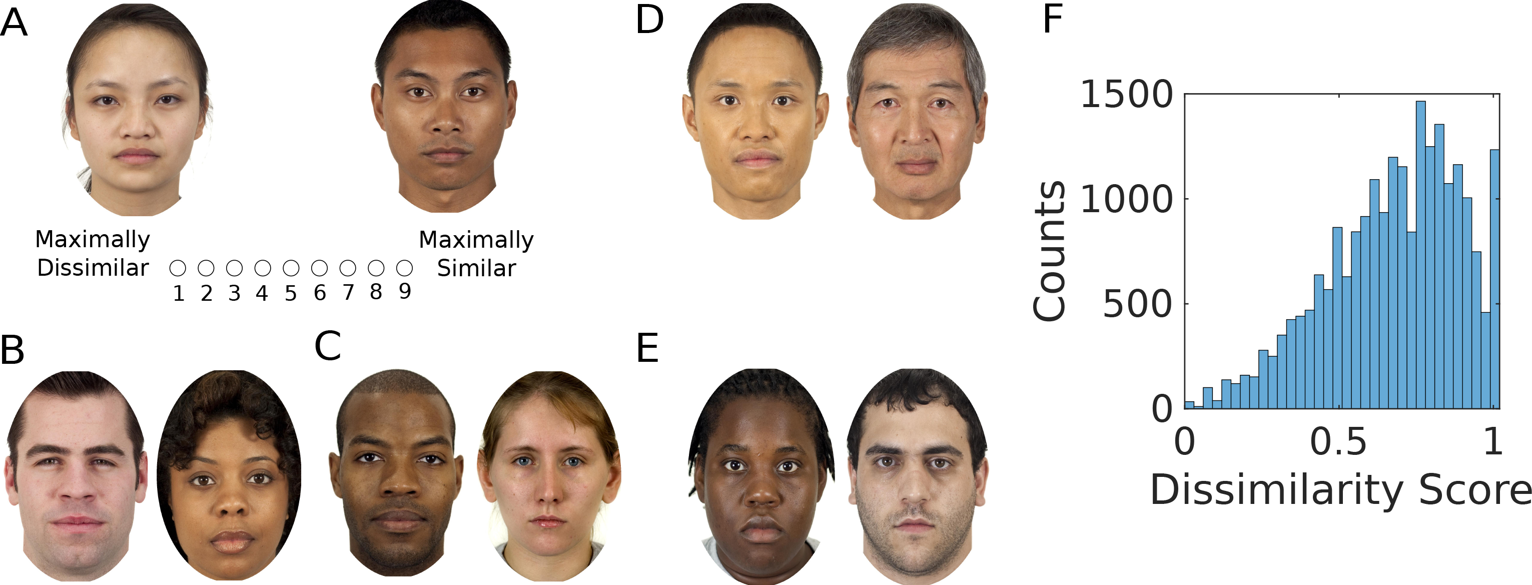 Leveraging Computer Vision Face Representation to Understand Human Face Representation.