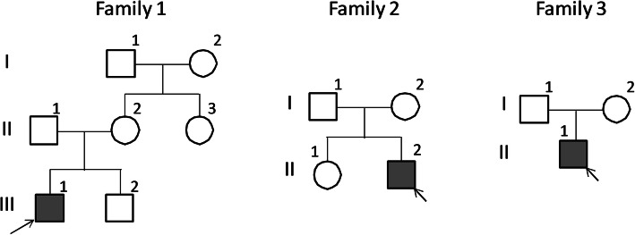 A novel G6PD deleterious variant identified in three families with severe glucose-6-phosphate dehydrogenase deficiency.