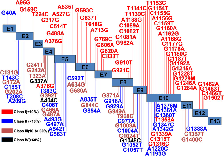 A novel G6PD deleterious variant identified in three families with severe glucose-6-phosphate dehydrogenase deficiency.