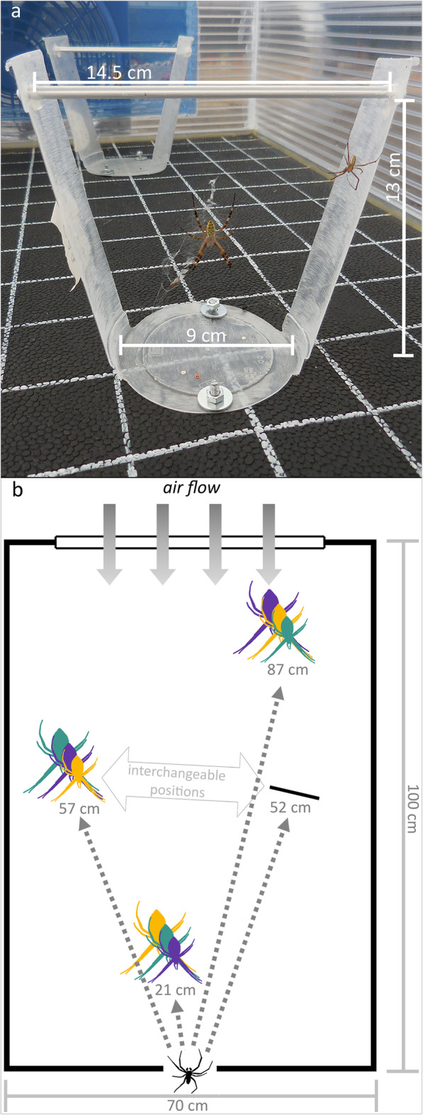 Males of a sexually cannibalistic spider chemically assess relative female quality.