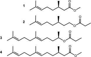 Identification of a hyperactive pheromone analog in field tests of pheromone mimics for two click beetle species in the genus Cardiophorus (Coleoptera: Elateridae)