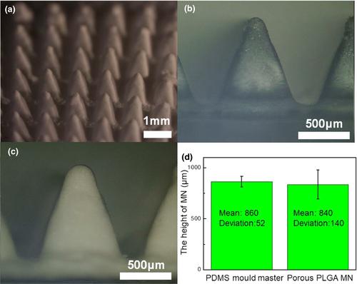 Porous microneedles on a paper for screening test of prediabetes