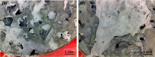 Biodegradable 3D porous zinc alloy scaffold for bone fracture fixation devices