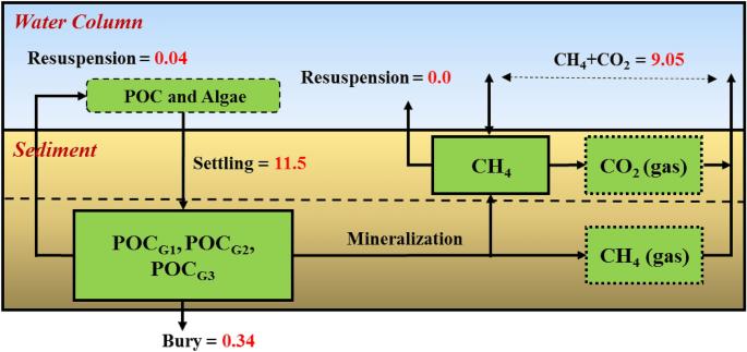 Modeling sediment diagenesis processes on riverbed to better quantify aquatic carbon fluxes and stocks in a small watershed of the Mid-Atlantic region