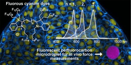 Fluorous Soluble Cyanine Dyes for Visualizing Perfluorocarbons in Living Systems