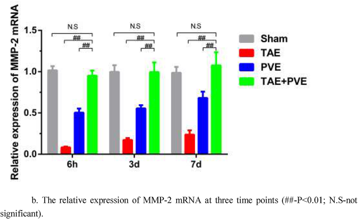 Expression of MMP-2 in residual VX2 liver tumor after transcatheter arterial embolization combined with portal venous embolization in an animal model