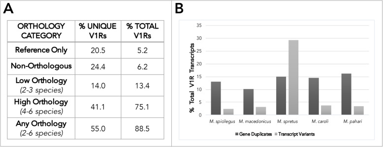 Distinct evolutionary trajectories of V1R clades across mouse species.