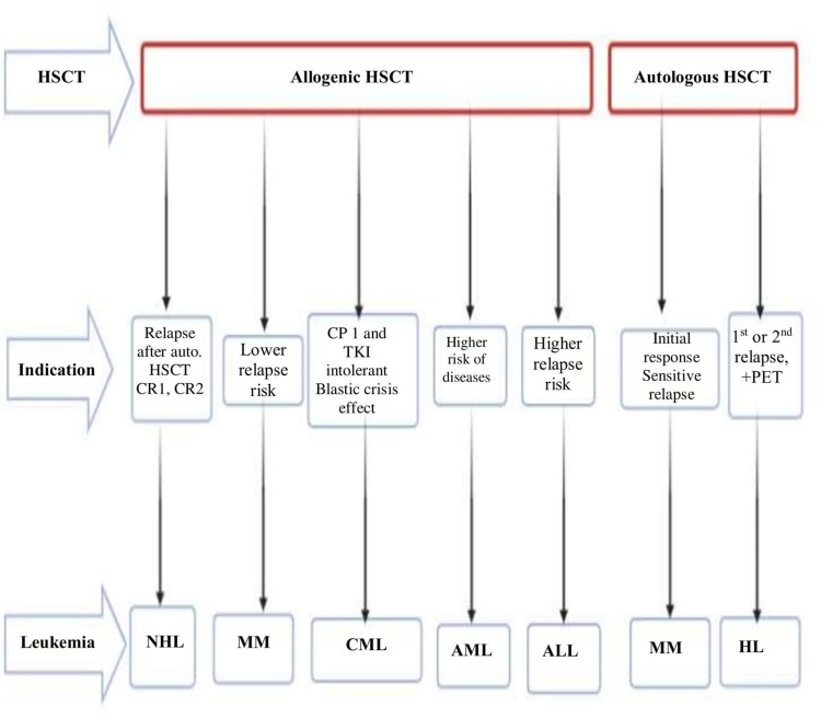 Role of Stem-Cell Transplantation in Leukemia Treatment.