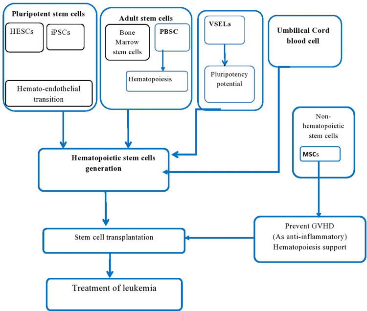 Role of Stem-Cell Transplantation in Leukemia Treatment.