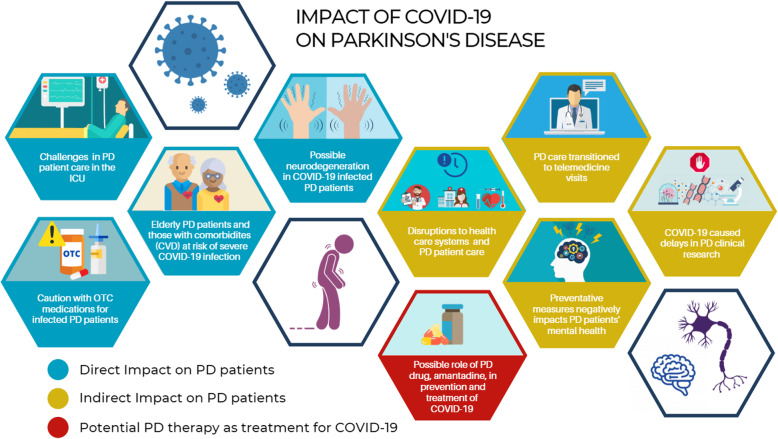 Potential impact and challenges associated with Parkinson's disease patient care amidst the COVID-19 global pandemic.