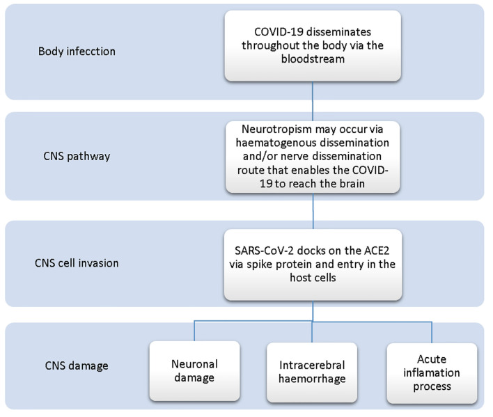 SARS-CoV-2 and Nervous System - Neurological Manifestations in Patients With COVID-19: A Systematic Review.