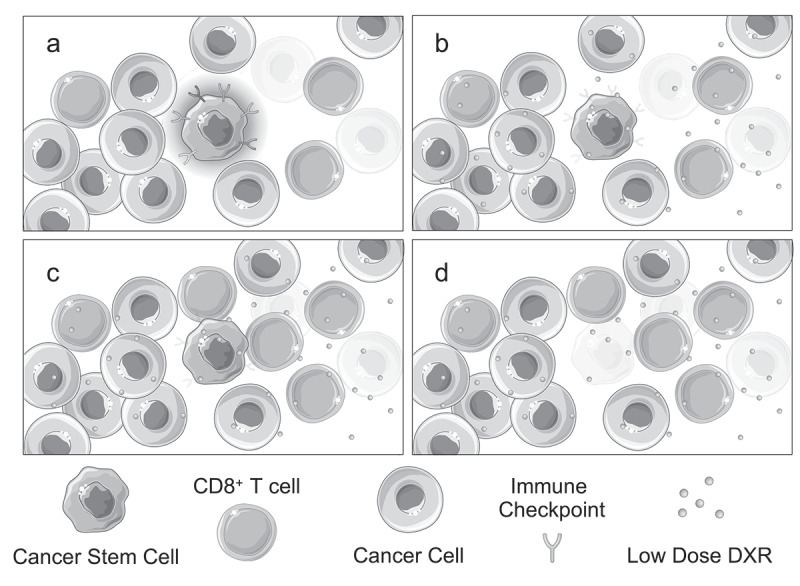 Overcoming resistance to immunotherapy by teaching old drugs new tricks.