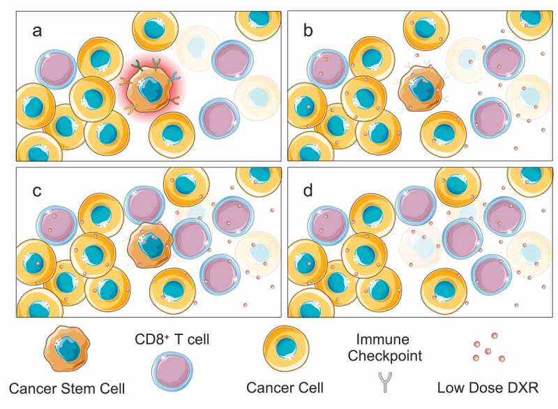 Overcoming resistance to immunotherapy by teaching old drugs new tricks.