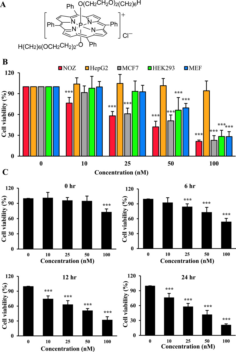 Photodynamic Therapy Using a Novel Phosphorus Tetraphenylporphyrin Induces an Anticancer Effect via Bax/Bcl-xL-related Mitochondrial Apoptosis in Biliary Cancer Cells.