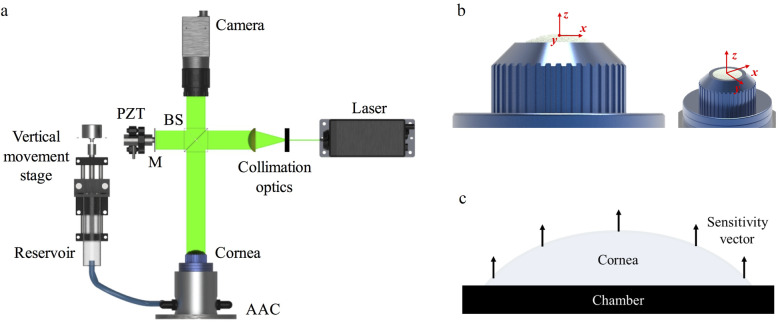 An interferometric ex vivo study of corneal biomechanics under physiologically representative loading, highlighting the role of the limbus in pressure compensation.