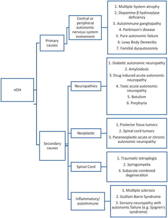 Neurogenic Orthostatic Hypotension: State of the Art and Therapeutic Strategies.