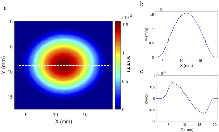 An interferometric ex vivo study of corneal biomechanics under physiologically representative loading, highlighting the role of the limbus in pressure compensation.
